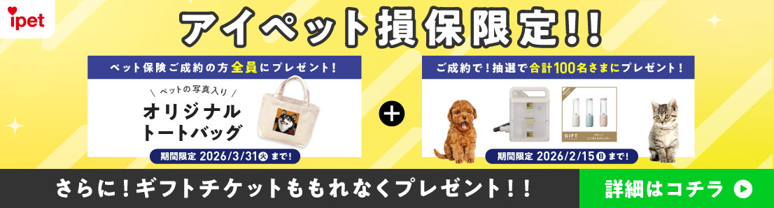 �A�C�y�b�g���ی���I�I �y�b�g�ی�������̕��S���Ƀv���[���g�I �y�b�g�̎ʐ^����I���W�i���g�[�g�o�b�O ���Ԍ��� 2026/3/31�i�΁j�܂ŁI+������ŁI���I�ō��v100�����܂Ƀv���[���g�I ���Ԍ��� 2026/2/15�i���j�܂ŁI ����ɁI�M�t�g�`�P�b�g������Ȃ��v���[���g�I�I �ڍׂ̓R�`��