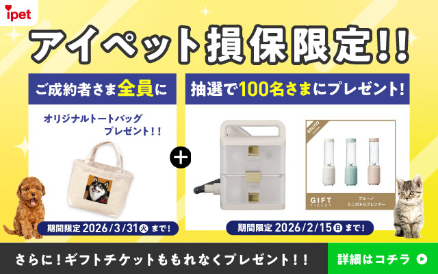 アイペット損保限定!!ご成約者さま全員にオリジナルトートバッグプレゼント!! 期間限定 2026/3/31(火)まで!+抽選で100名さまにプレゼント! 期間限定 2026/2/15(日)まで! さらに!ギフトチケットももれなくプレゼント!! 詳細はコチラ
