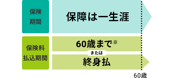 保険期間 保障は一生涯 保険料払込期間 60歳までまたは終身払