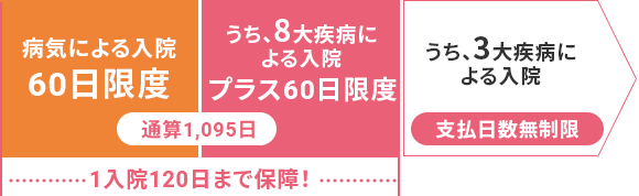 病気による入院 60日限度 うち、8大疾病による入院 プラス60日限度 うち、3大疾病による入院 支払日数無制限