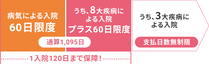 病気による入院 60日限度 うち、8大疾病による入院 プラス60日限度 うち、3大疾病による入院 支払日数無制限
