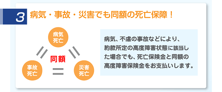 3.病気・事故・災害でも同額の死亡保障!