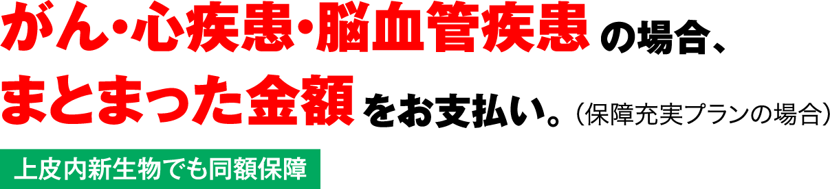 がん・心疾患・脳血管疾患の場合、まとまった金額をお支払い。（保障充実プランの場合）