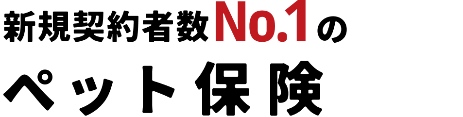 �V�K�_��Ґ�No.1�̃y�b�g�ی�