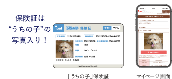 �ی��؂͂����̎q�̎ʐ^����