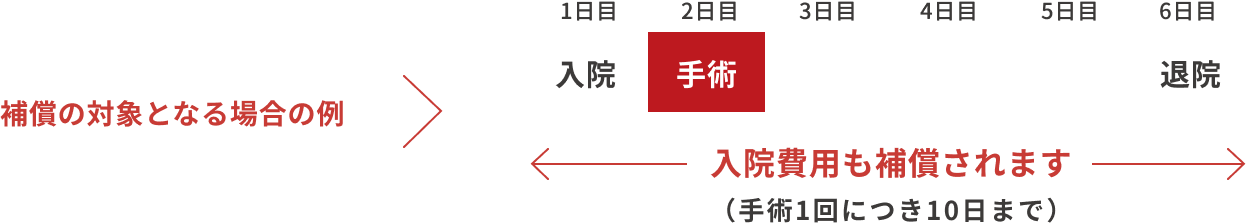 �⏞�̑ΏۂƂȂ�ꍇ�̗�