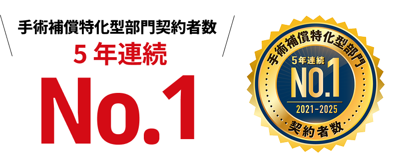 ��p�⏞�����^����_��Ґ� 5�N�A��No.1